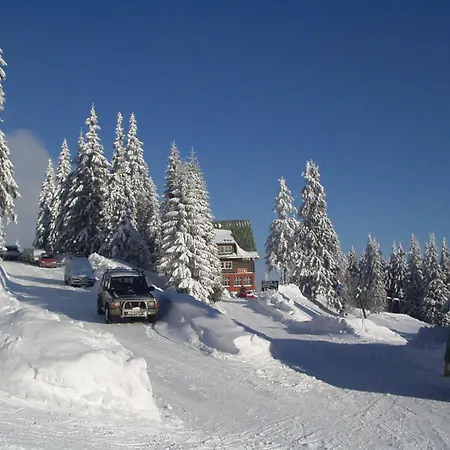 Margo Sun * Martinske Hole